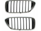 Front grill