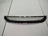 Front bumper lower grill