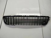 Front bumper lower grill