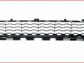 Front bumper lower grill