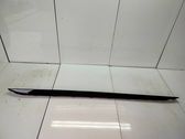 Front sill (body part)
