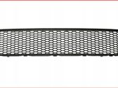 Front bumper lower grill