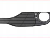 Front fog light trim/grill