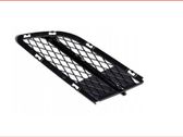 Front bumper lower grill