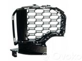 Front fog light trim/grill