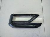 Verkleidung Nebelscheinwerfer / Gitter vorne