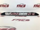 Front bumper lower grill