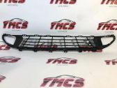 Front bumper lower grill
