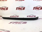 Rear bumper trim bar molding