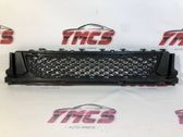 Front bumper lower grill