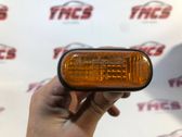 Front fender indicator light