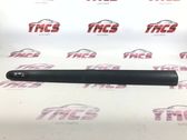 Front door trim (molding)