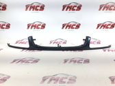 Front grill