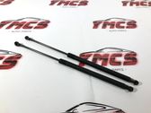 Tailgate/trunk strut/damper