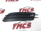 Front fog light trim/grill