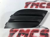 Verkleidung Nebelscheinwerfer / Gitter vorne