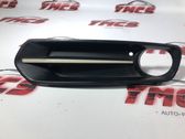 Front fog light trim/grill