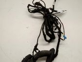 Rear door wiring loom