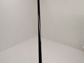 Rear door trim (molding)