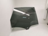 Rear door window glass