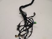 Other wiring loom