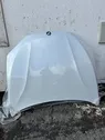 Engine bonnet/hood