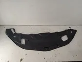 Radiator trim