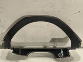Dashboard trim