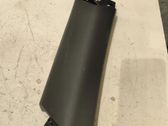 (C) pillar trim