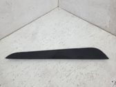 Other rear door trim element