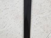 Other rear door trim element