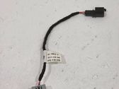 Rear door interior light