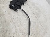 Manecilla/asa externa de la puerta trasera