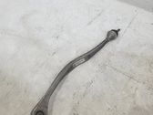 Front lower control arm/wishbone