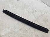 Other rear door trim element