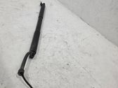 Tailgate/trunk strut/damper