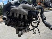 Austauschmotor