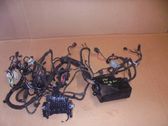 Other wiring loom