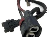 Other wiring loom