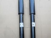 Rear shock absorber/damper