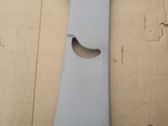 (B) pillar trim (top)