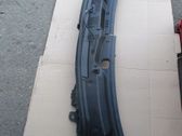 Wiper trim