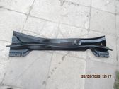 Moldura del limpia