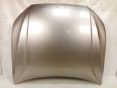 Engine bonnet/hood