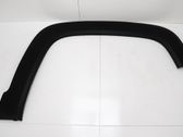 Fender trim (molding)