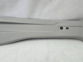 Pilar (B) (superior)