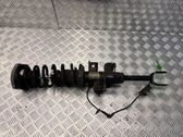 Front shock absorber with coil spring