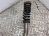 Front shock absorber with coil spring