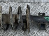Front shock absorber with coil spring