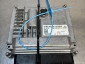Engine control unit/module ECU
